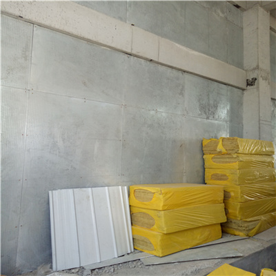 2025新澳门历史记录查询