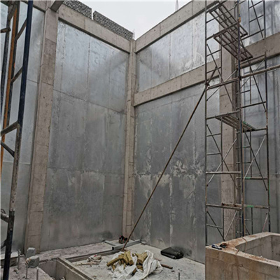 2025新澳门历史记录查询